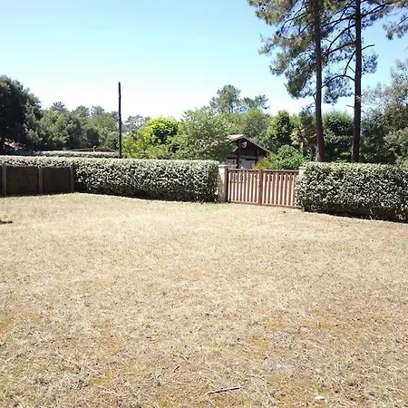 Colibri * Lit-et-Mixe